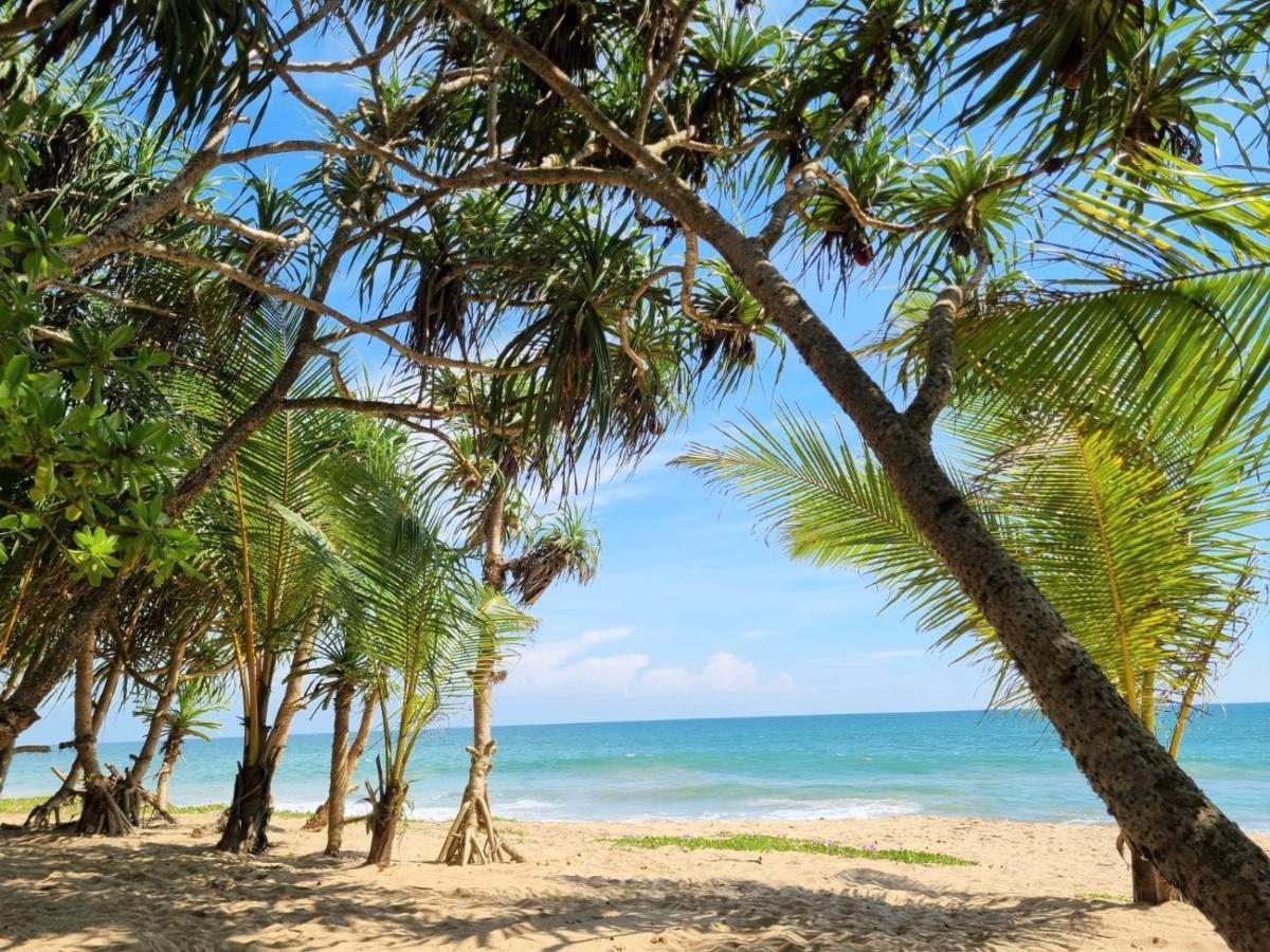 Golden Beach Paradise Tangalle Exteriör bild