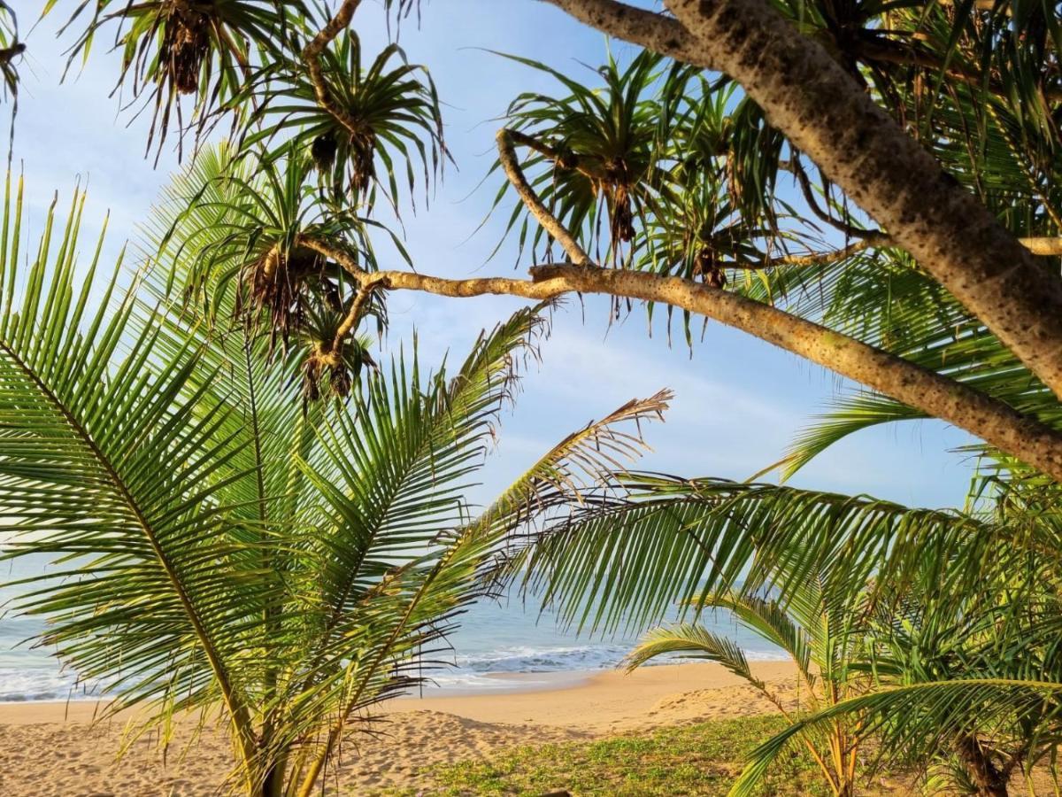 Golden Beach Paradise Tangalle Exteriör bild