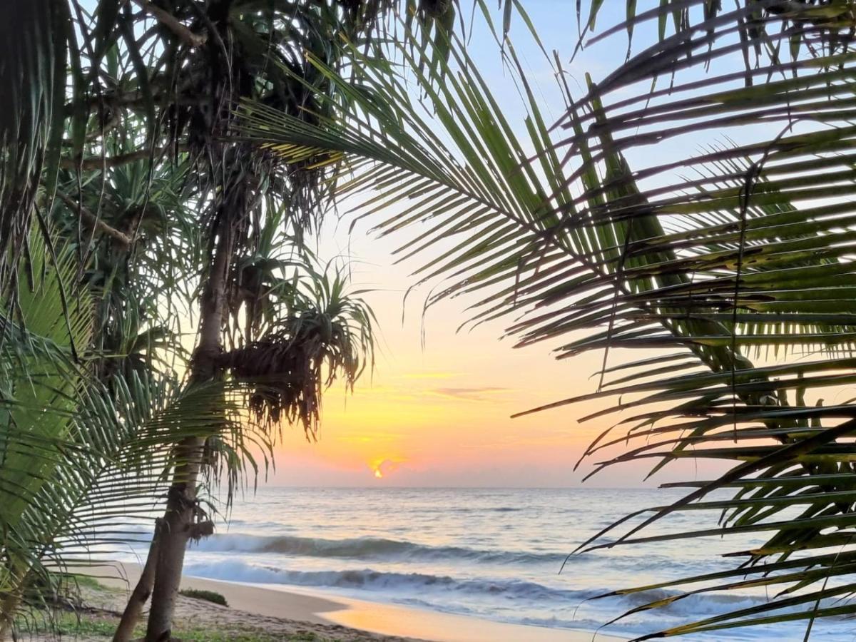Golden Beach Paradise Tangalle Exteriör bild