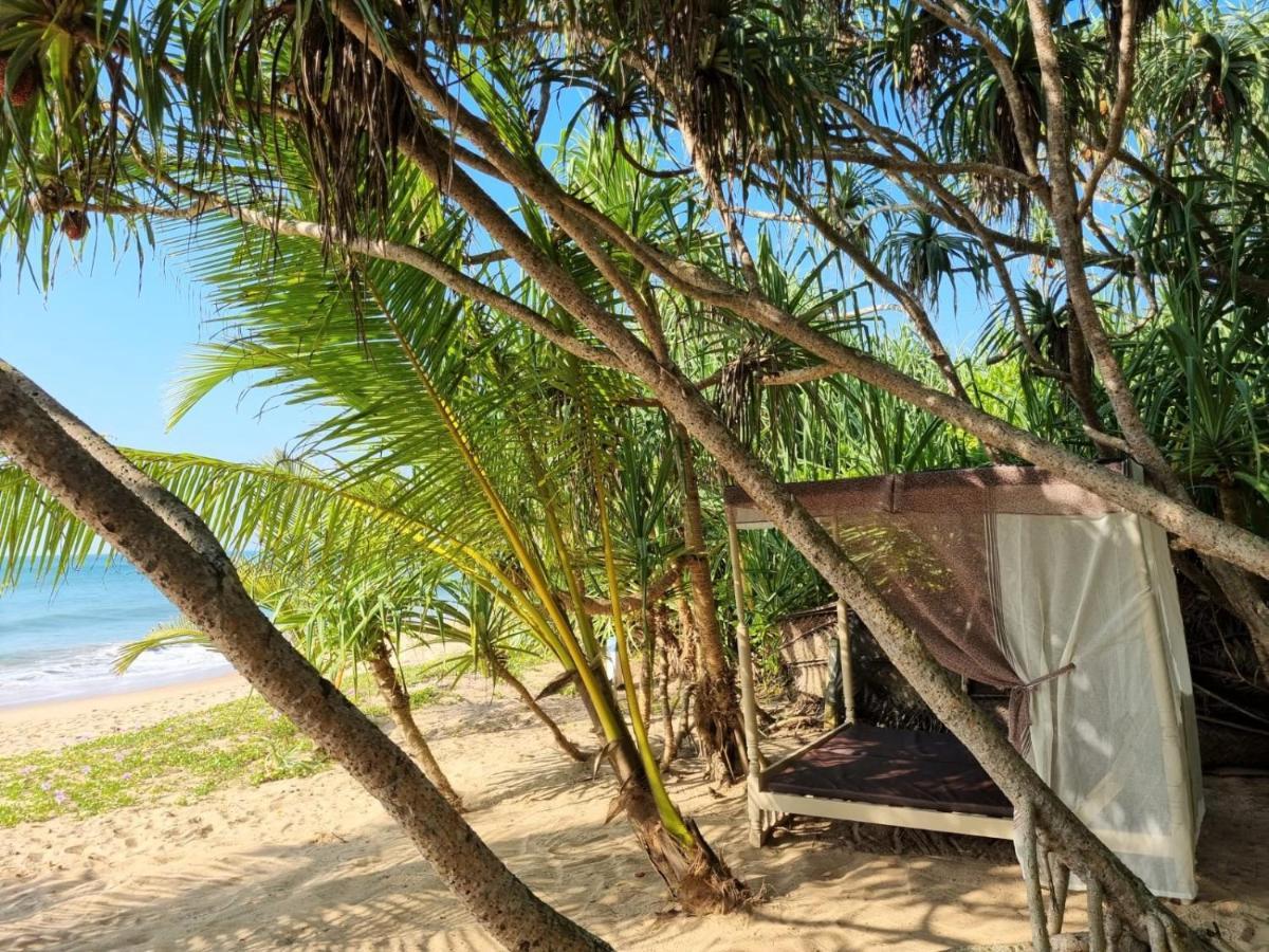 Golden Beach Paradise Tangalle Exteriör bild