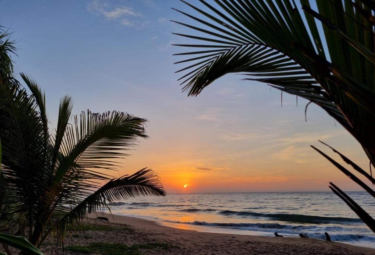 Golden Beach Paradise Tangalle Exteriör bild