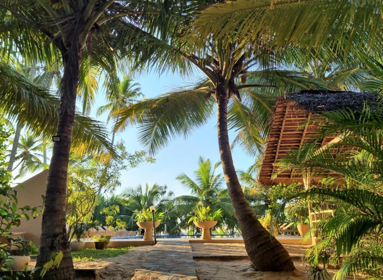 Golden Beach Paradise Tangalle Exteriör bild